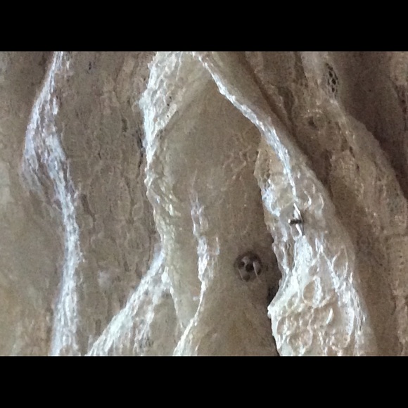 COPY - Macshore Classics Lace Top - Picture 11 of 14